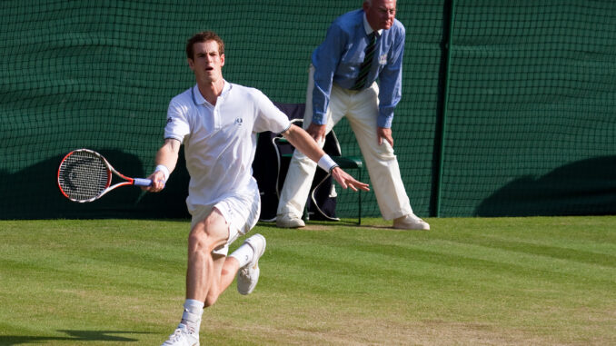 Andy Murray - Matteo Berrettini - Daniil Miedwiediew - Tim Van Rijthoven