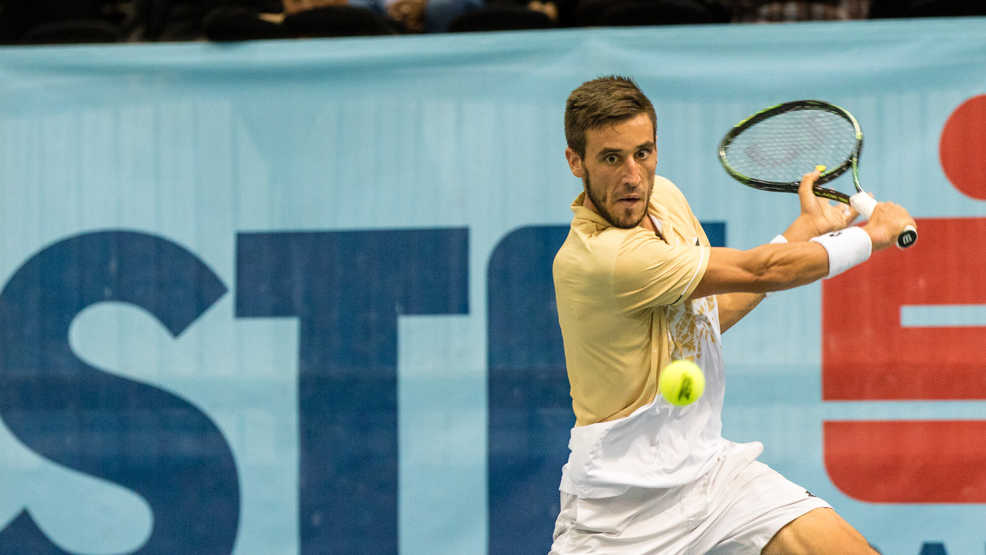 Zandschulp – Dzumhur: typ na mecz | Analiza ATP Bukareszt