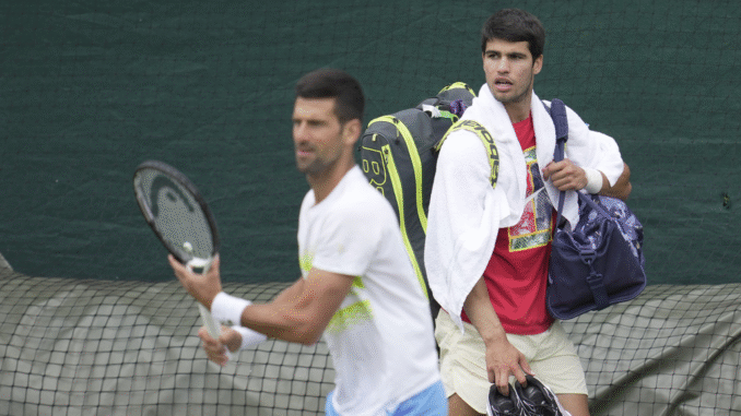 Alcaraz - Djokovic