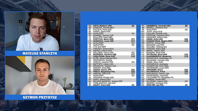 Stańczyk - Przybysz