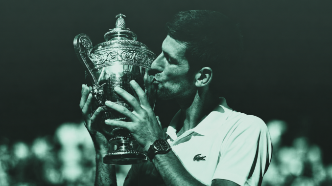 Djokovic - typy